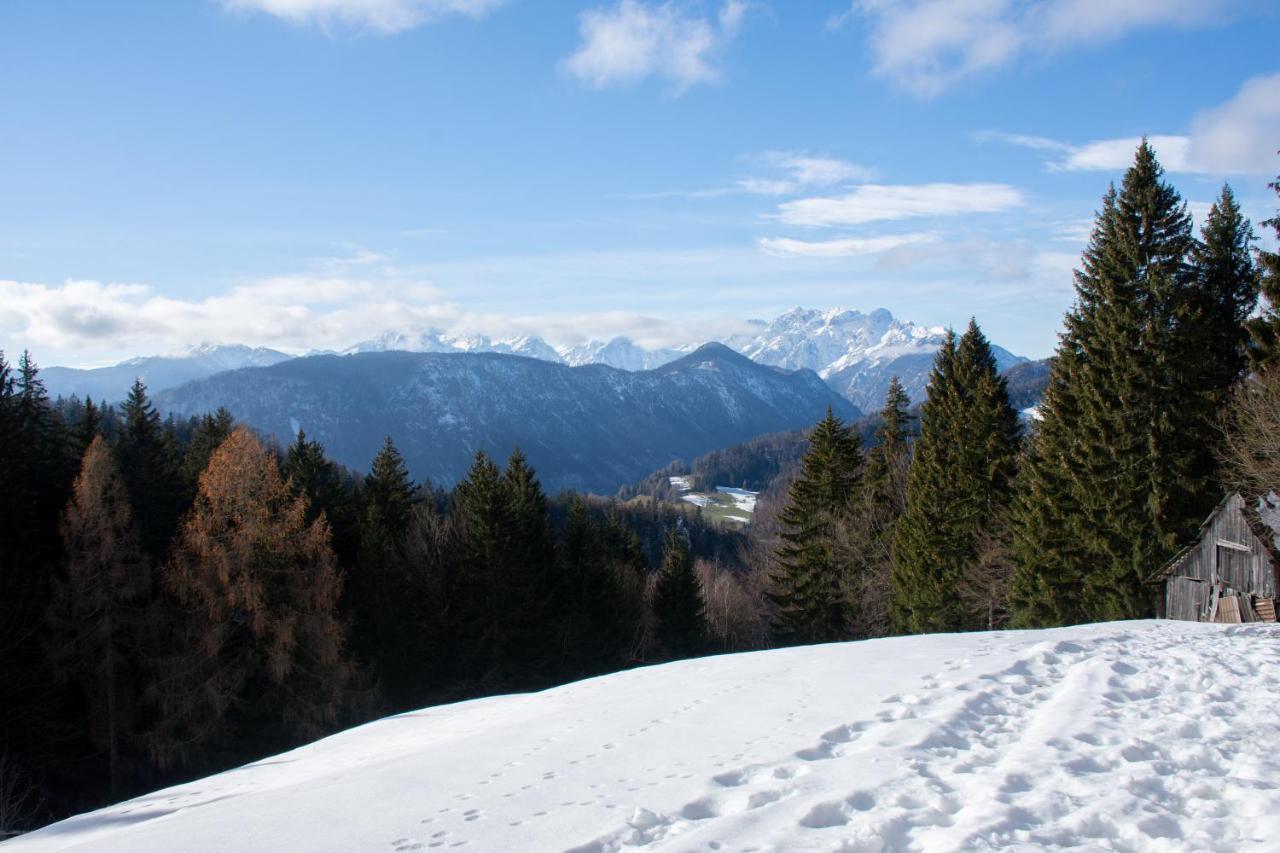Alpine Cottage Golica Jesenice Exterior photo